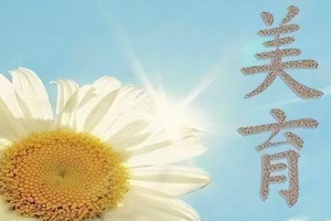 河北水利電力學院<em>美育</em><em>工作</em><em>實施方案</em>