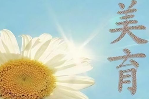 中國民航大學美育工作<em>實施方案</em>