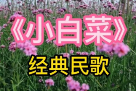 美育類資源—<em>音樂</em>作品《小白菜》