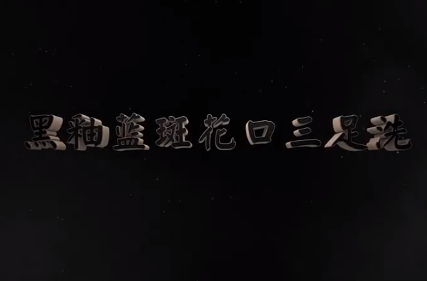 <em>中華</em><em>傳統(tǒng)文化</em>—黑釉藍斑花口三足<em>洗</em>