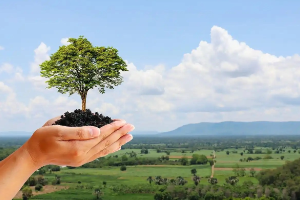 植物保護<em>與</em>檢疫技術<em>專業(yè)</em>：《植物保護技術》<em>課程</em><em>實踐</em>教學<em>的</em>探索