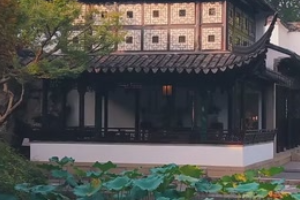 園林秋色！蘇州留園秋風拂桂古韻悠然