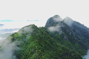 1781種植物＋625種動物！來看福建漳州虎伯寮自然保護區的雨林<em>秘</em><em>境</em>
