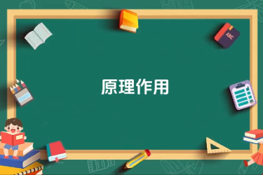 蘋果園套種間作黃豆技術-原理作用