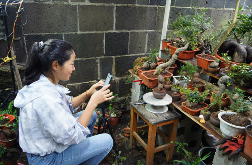 “<em>90</em><em>后</em>”巾幗新農人樊富芝：帶領鄉親們<em>走</em>“花路”