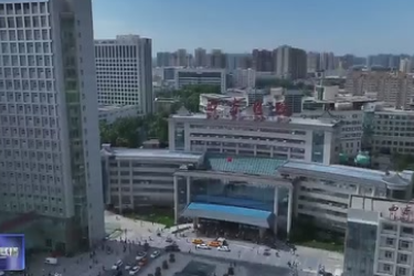 陜西省實(shí)施亞洲<em>首例</em><em>基因</em><em>編輯</em>豬—終末期腎病患者異種腎移植