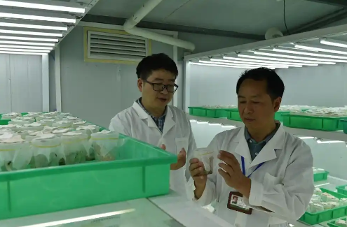 宋光龍植保工匠室：綠水青山的守護者，植保工匠精神的傳承者