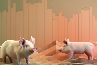 現代畜牧專業：《豬生產技術—育肥豬低<em>蛋白</em>日糧配制（踐行低碳養殖，堅守職業擔當）》<em>課程</em><em>思</em>政教學<em>案例</em>