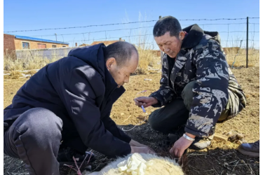 草原獸醫(yī)林巖 三十二載護牧興