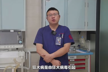 正確認(rèn)識(shí)狂犬病