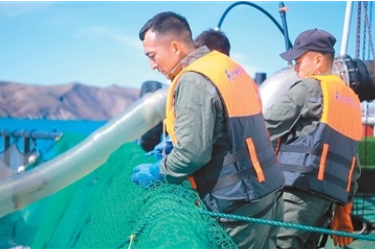 新疆：“<em>水產</em>大省”養成記4