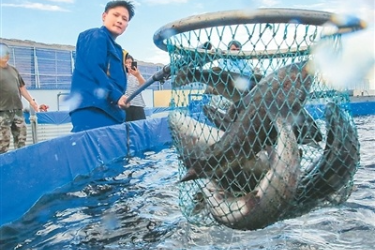 新疆：“<em>水產</em>大省”養成記2