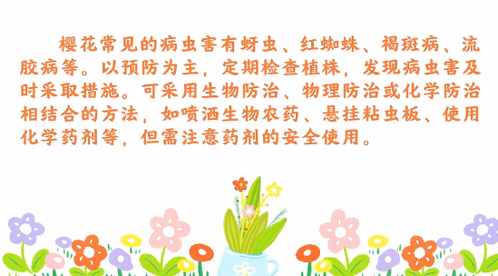 櫻花<em>病蟲害</em><em>防治</em><em>小</em><em>技巧</em>