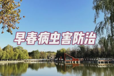 <em>園林植物</em>早春病蟲害防治
